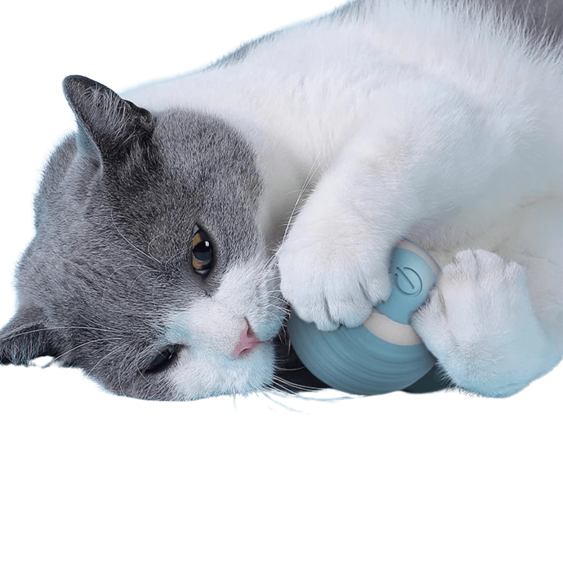 MeowMotion Ball™