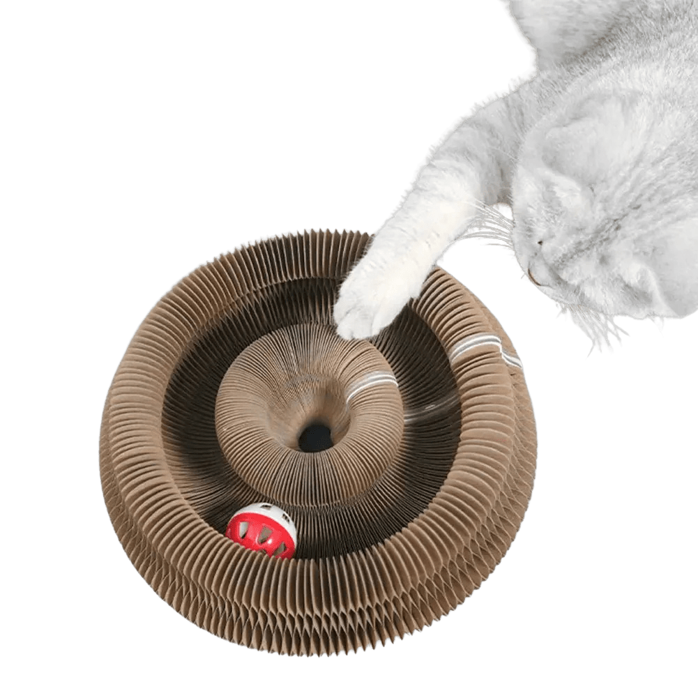 MeowMelody Scratcher™