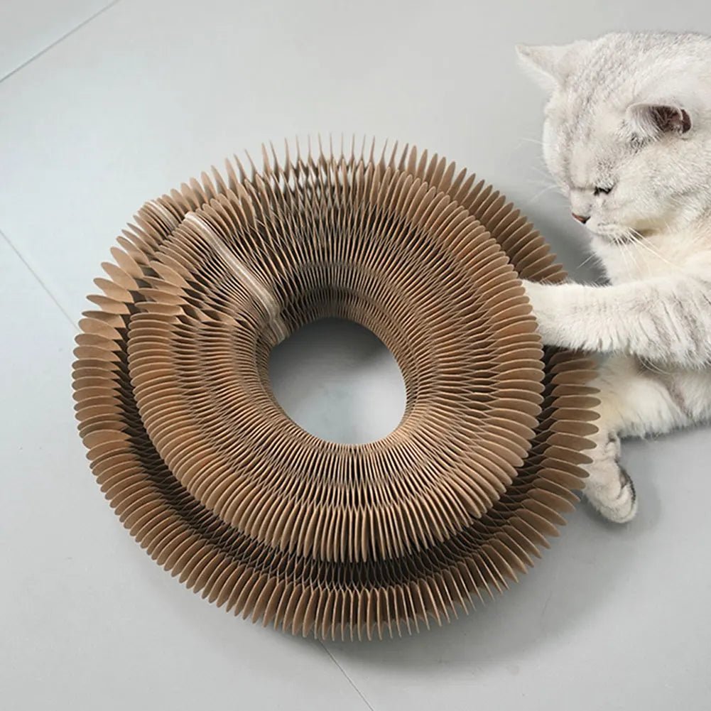 MeowMelody Scratcher™