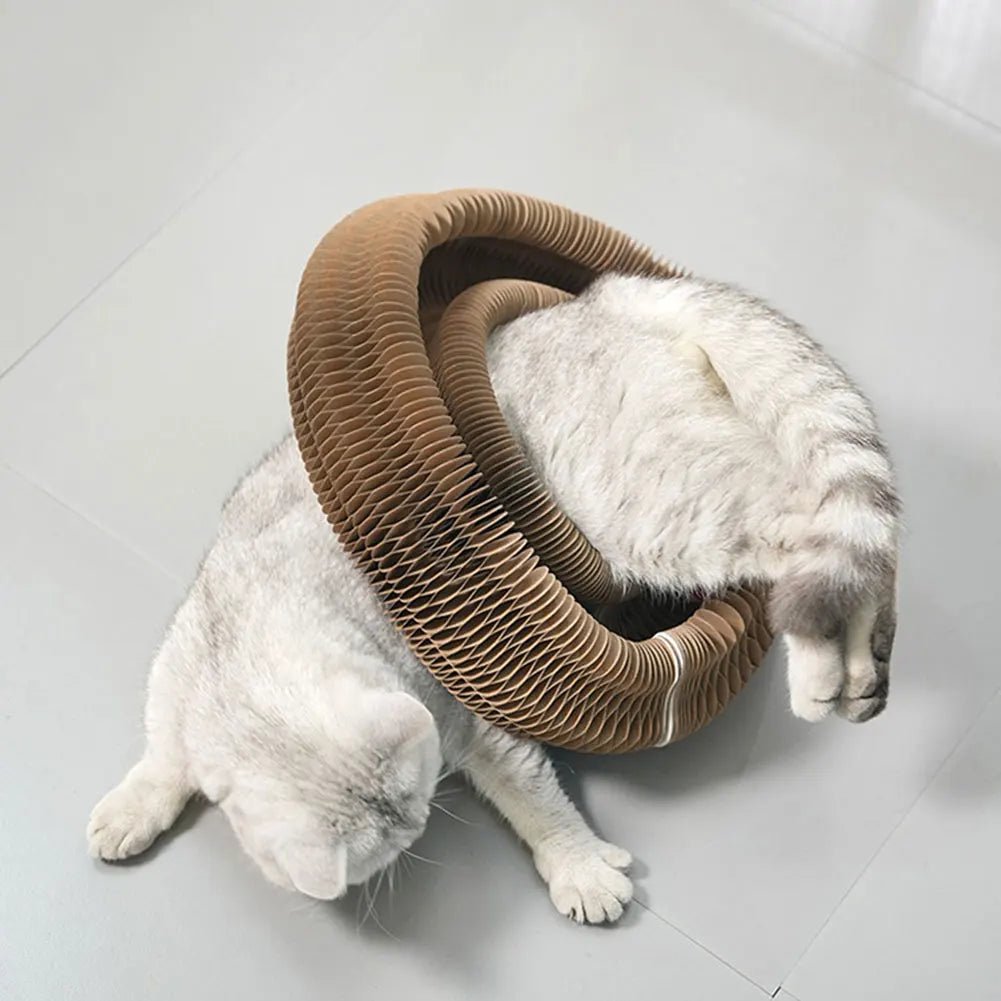 MeowMelody Scratcher™