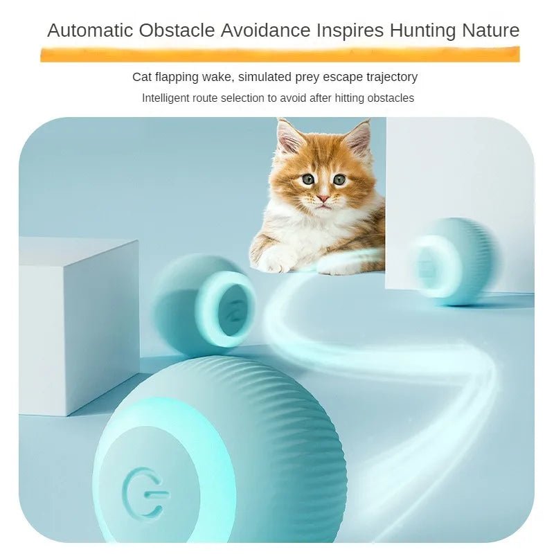 MeowMotion Ball™
